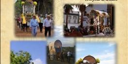 Romería en Honor de Nuestra Señora de los Remedios Coronada, Patrona de Mairena del Alcor