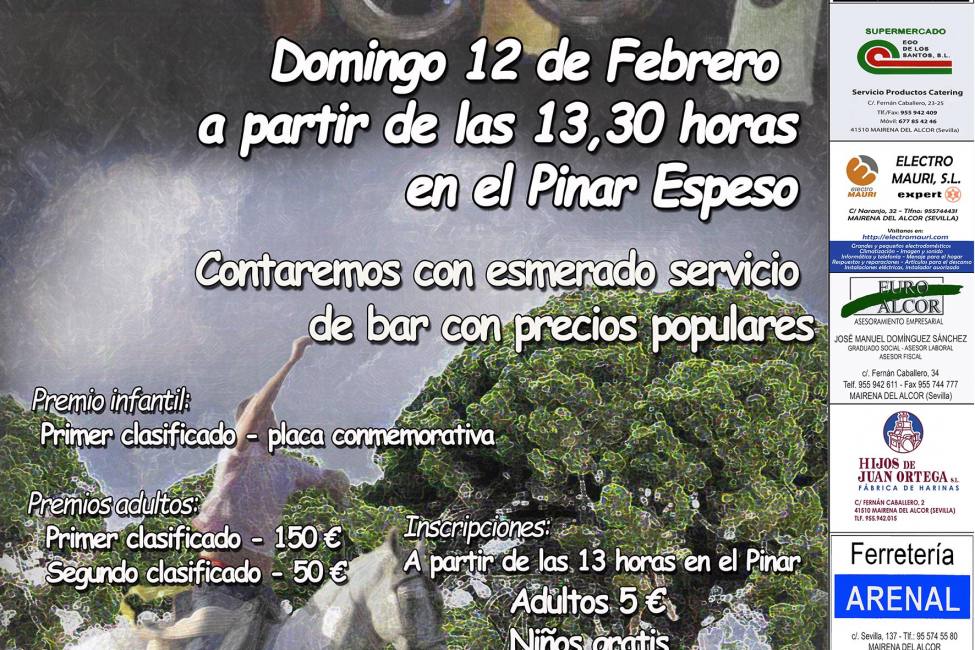 Carrera de cintas 2017